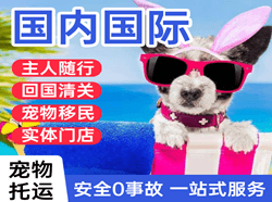 九寨黄龙国际宠物托运 【国